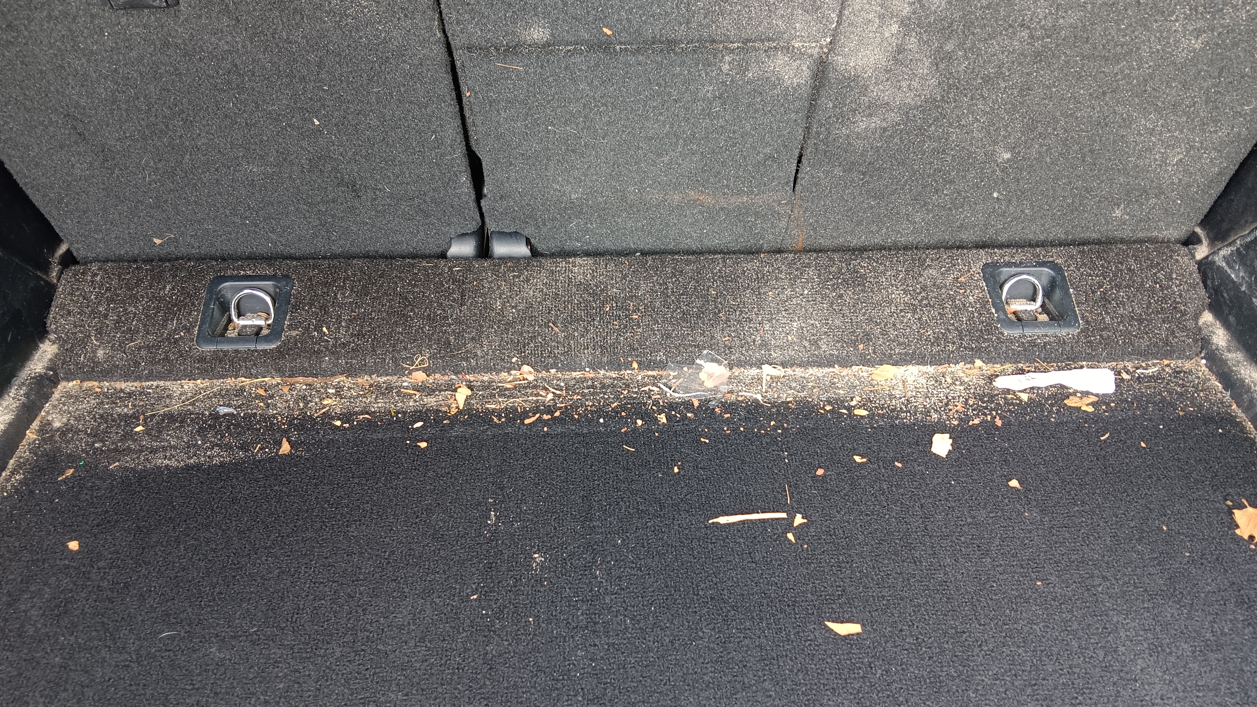 4Runner interior detailing sand and dog hair removal in Virginia Beach — Before
